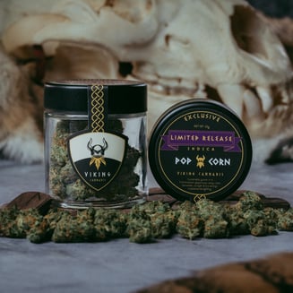 Queso [10g] by Viking Cannabis