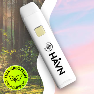 Amnesia Haze [1000mg] by HÅVN Extracts