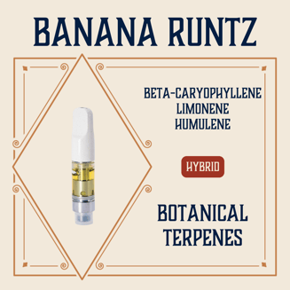 Banana Runtz by Elevate