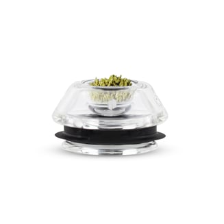 Proxy Flower Bowl