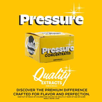 8 Inch Bagel [2g] by Pressure