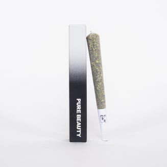 Pure Beauty — Hybrid - 1g Pre Roll