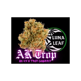 AK Trop by Luna Leaf