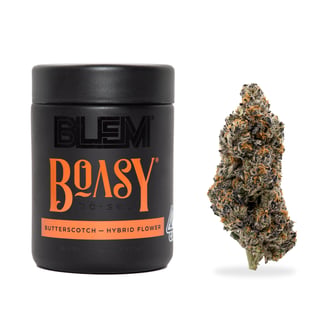 BLEM — Boasy