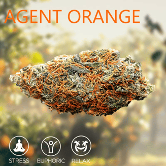 Agent Orange by TPZ Ventures