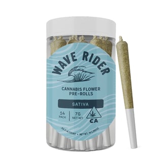 Wave Rider — Dream Diesel
