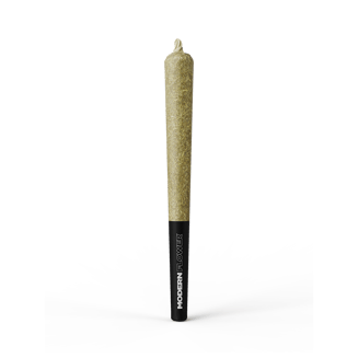 Pineapple Upside Down Cake [1g] by Modern Flower
