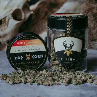 White Cherries by Viking Cannabis
