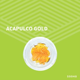 Acapulco Gold Shatter by Pure Dakota