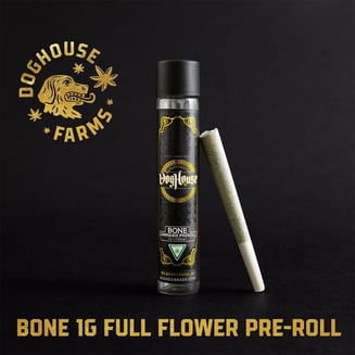 Apes In Space [1g] by DogHouse