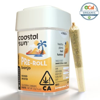 Coastal Sun — Banjo