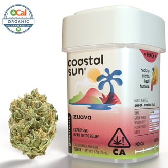 Coastal Sun — Zuava