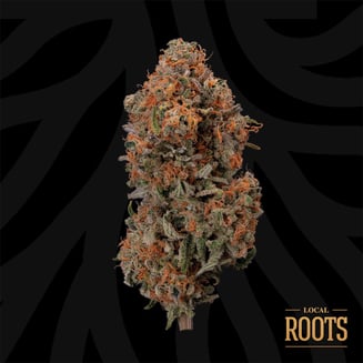 Blueberry Hashplant
