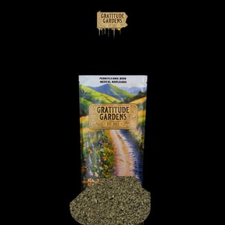 10 River Kush by Gratitude Gardens