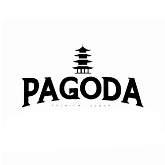 Animal Tsunami by Pagoda