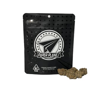 Paper Planes Extracts — Rainbow Zangria