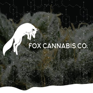 1969  [.5g] by Fox Cannabis Co.