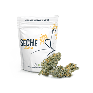 Beach Bath by SeCHe