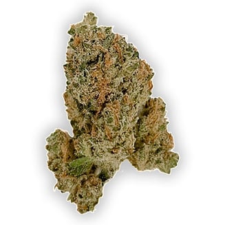 707 Headband (707) (Small Bud) by Vireo
