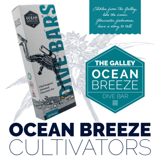 Dark Chocolate Cranberry Walnut (100mg) by Ocean Breeze