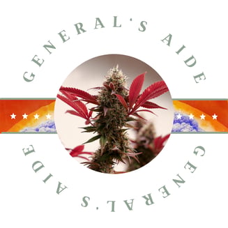 1:1 Hell on Wheels by General's Aide