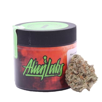 Alien Labs — Sherbacio