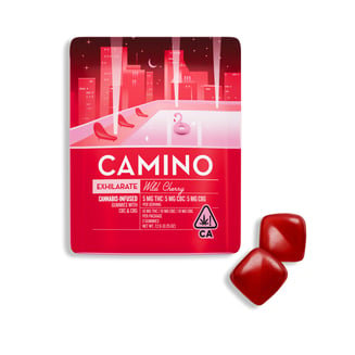 CAMINO — Excite Wild Cherry