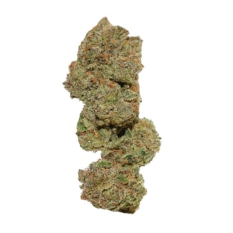 Bag Rntz by Evidence - CA