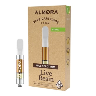 ALMORA: Blue Magoo