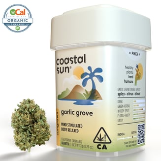 Coastal Sun — Garlic Grove