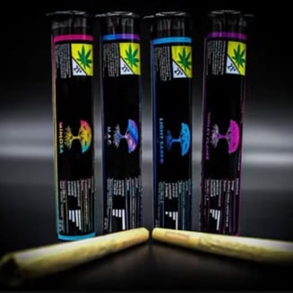 GMO x GMO [1g]