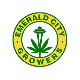 Apple Fritter by Emerald City Growers