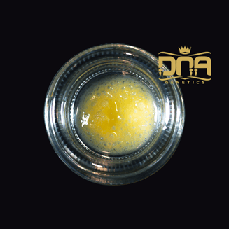 Baker's Delight by Skymint x DNA Genetics