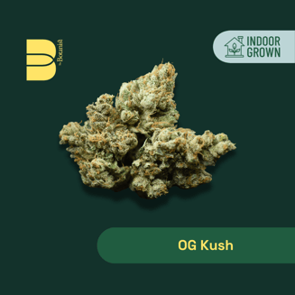 20:1 OG Kush WF18 by Botanist
