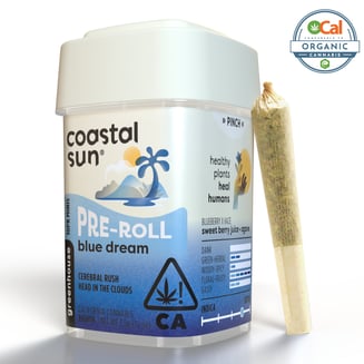 Coastal Sun — Blue Dream