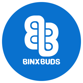 2 S by Binx Buds