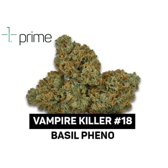 Vampire Killer #18 by Prime Wellness