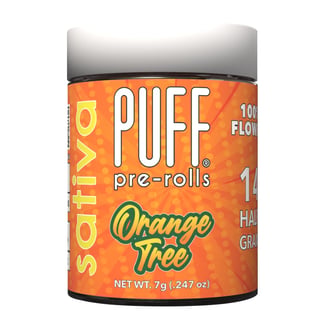 PUFF — Orange Tree