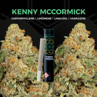 Kenny McCormick [1g] by Honey Green