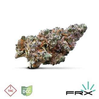 Neon Flamingo [2.83g] by FarmaceuticalRx Ohio