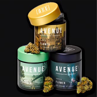 Yellow Brick Road by Avenue