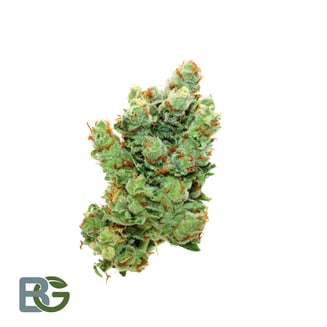 Chicago Dawg by Bedford Grow