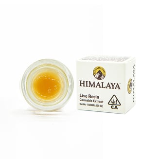 Himalaya: 24K Goat