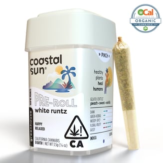 Coastal Sun — White Runtz