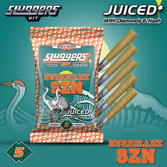 Sluggers: Hurricane Szn