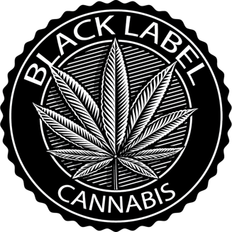 805 Glue [1g] by Black Label