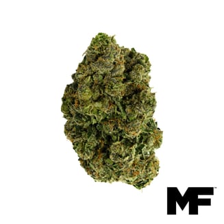 Modern Flower — Krumpe Kush