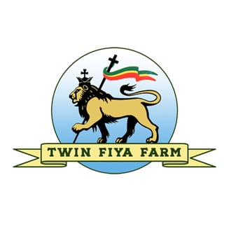 Cookies & Chem [1.25g] by Twin Fiya Farm