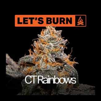 Let's Burn Cadillac Rainbows 3.5g 0075 by Let's Burn