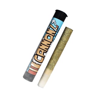 YBX [2g] by Cannonz